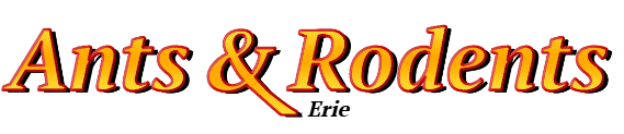 Erie Ant Exterminator & Rodent Control Company Logo